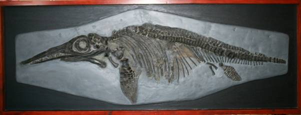 Icthyosaur.jpg